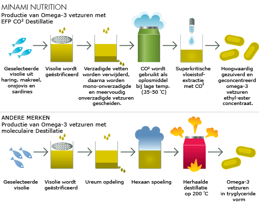 productieschema EFP-productieproces