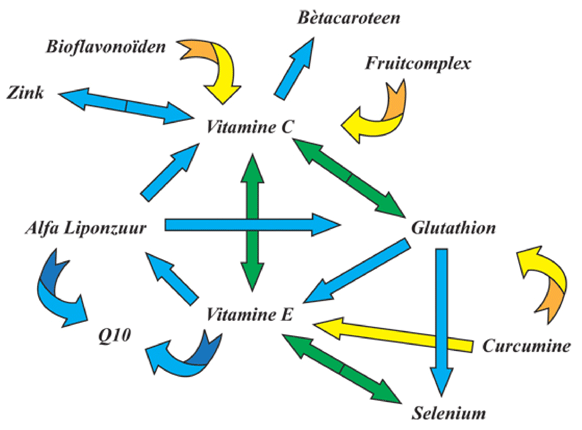 schema